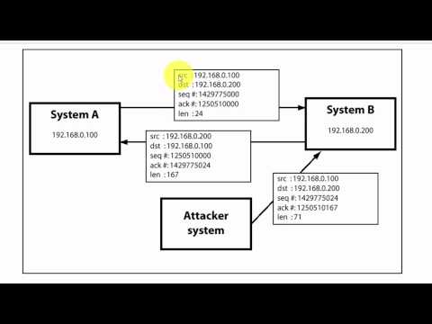 Module 7: TCP/IP Hijacking
