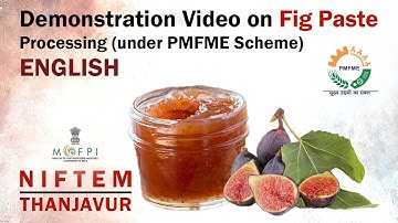 Demonstration Video on Fig Paste Processing (under PMFME Scheme) - ENGLISH