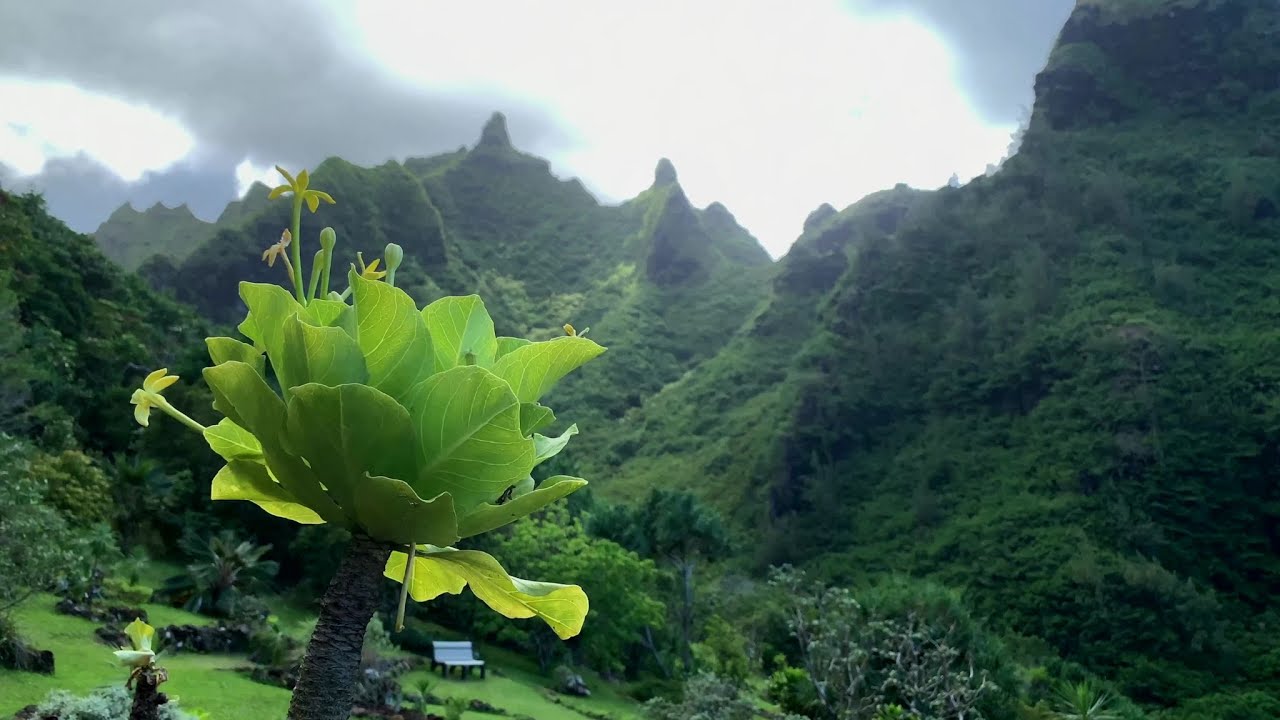 Hawaii Education Series: Ahupua'a - YouTube