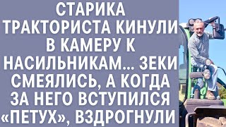 картинка: 