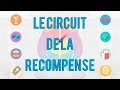 Le Circuit De La Récompense 
