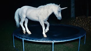 Cctv Camera Caught Unicorn And Other Animals Jumping On The Trampoline At 3Am. P1