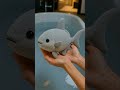 Kids Learning Ocean Animals with Toys | Names & facts#preschoollearning #toyanimals #oceananimals