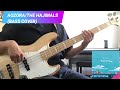 AOZORA/THE HAJIMALS(BASS COVER)