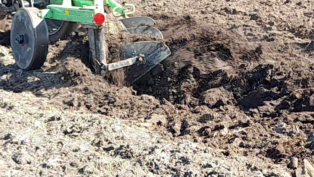 мтз 80  в оранці з плугом бомет 3. 35