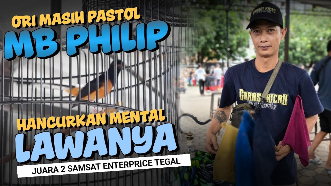 MURAI PHILIP milik Mr.tirto BERHASIL JUARA 2!!Gebyar awal tahun samsat enterprice tegal