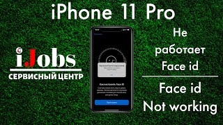 Iphone 11 Pro Не Работает Face Id Face Id Not Working. Ay A108