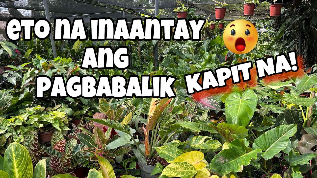 KAPIT NA SA PAGBABALIK MURA PA DIN!