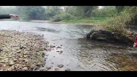 tiếng hát páo dung rất hay | vương vinh tv