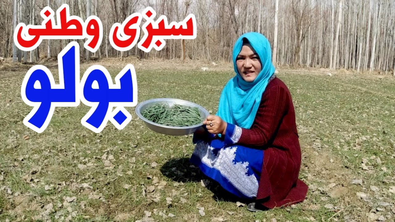 اولین سبزی بهاری جاغوری | سبزی بولو (سیرسو)؛ طعم تازه از دل طبیعت جاغوری 🌿