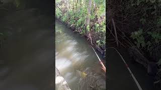 mancing penghuni dasar selokan, tetap semangat gaes.