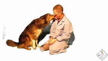 funny introduction to microbes a science with bobert video short