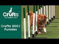 Funnies from Crufts 2023