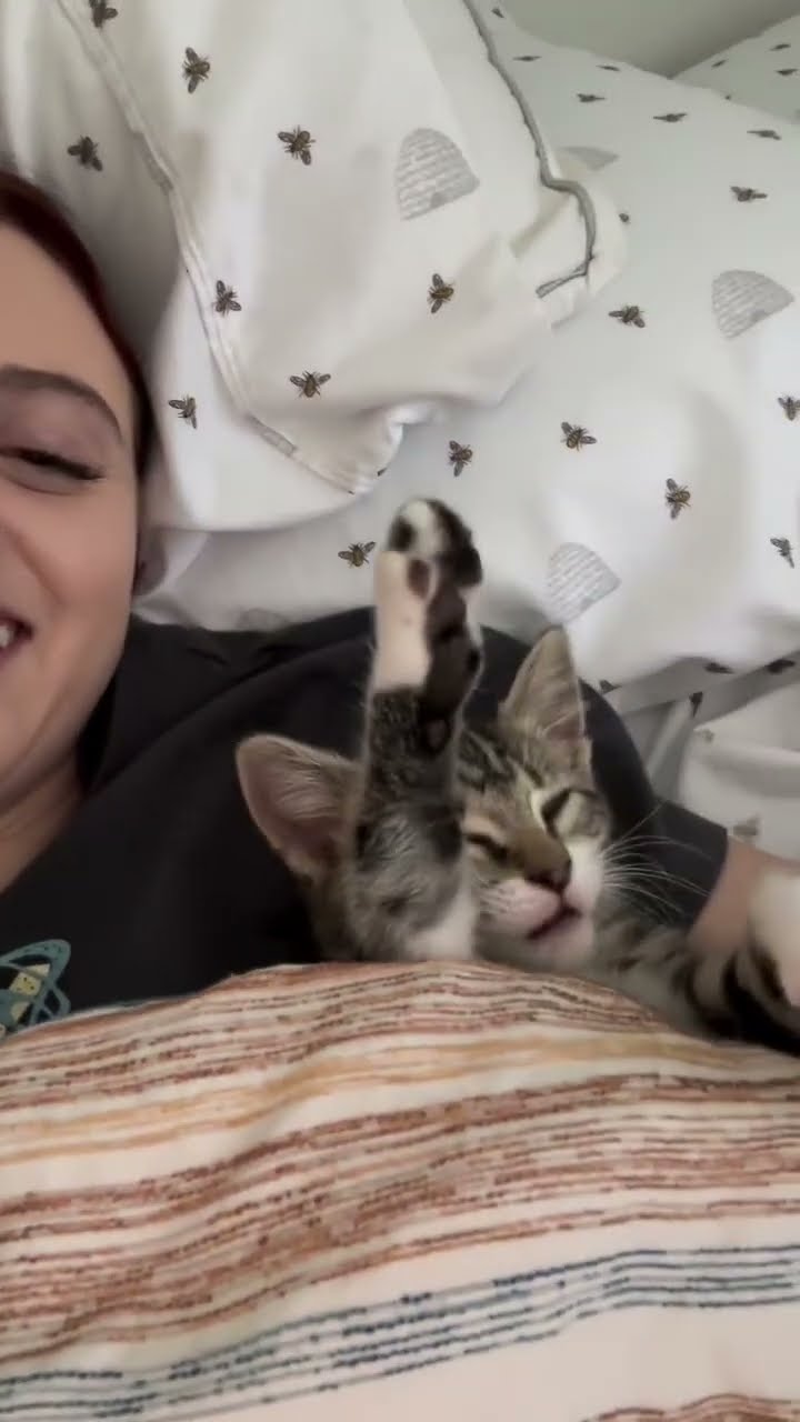 Top des vidéos très mignon ❤️ ❤️ ❤️