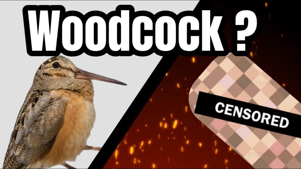 Putting YOUR strange Bird names into AI was a MISTAKE...