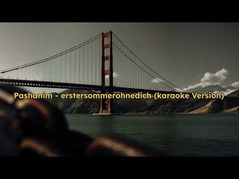 Pashanim - Erstersommerohnedich (karaoke Version)