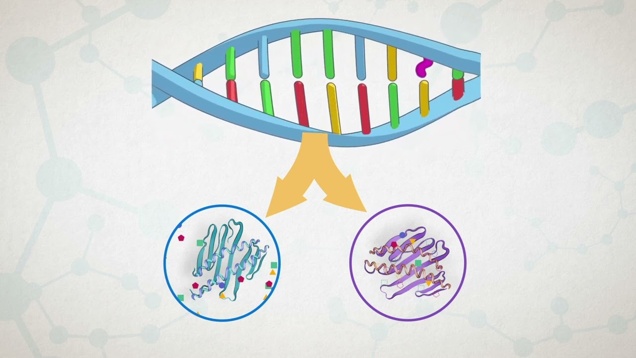 5 - La métabolomique