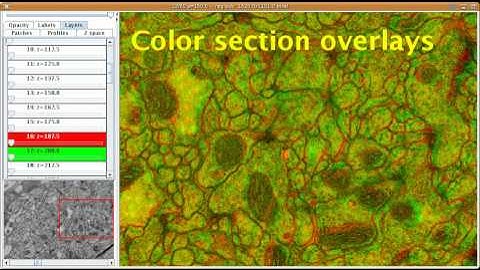 TrakEM2 - layer overlays