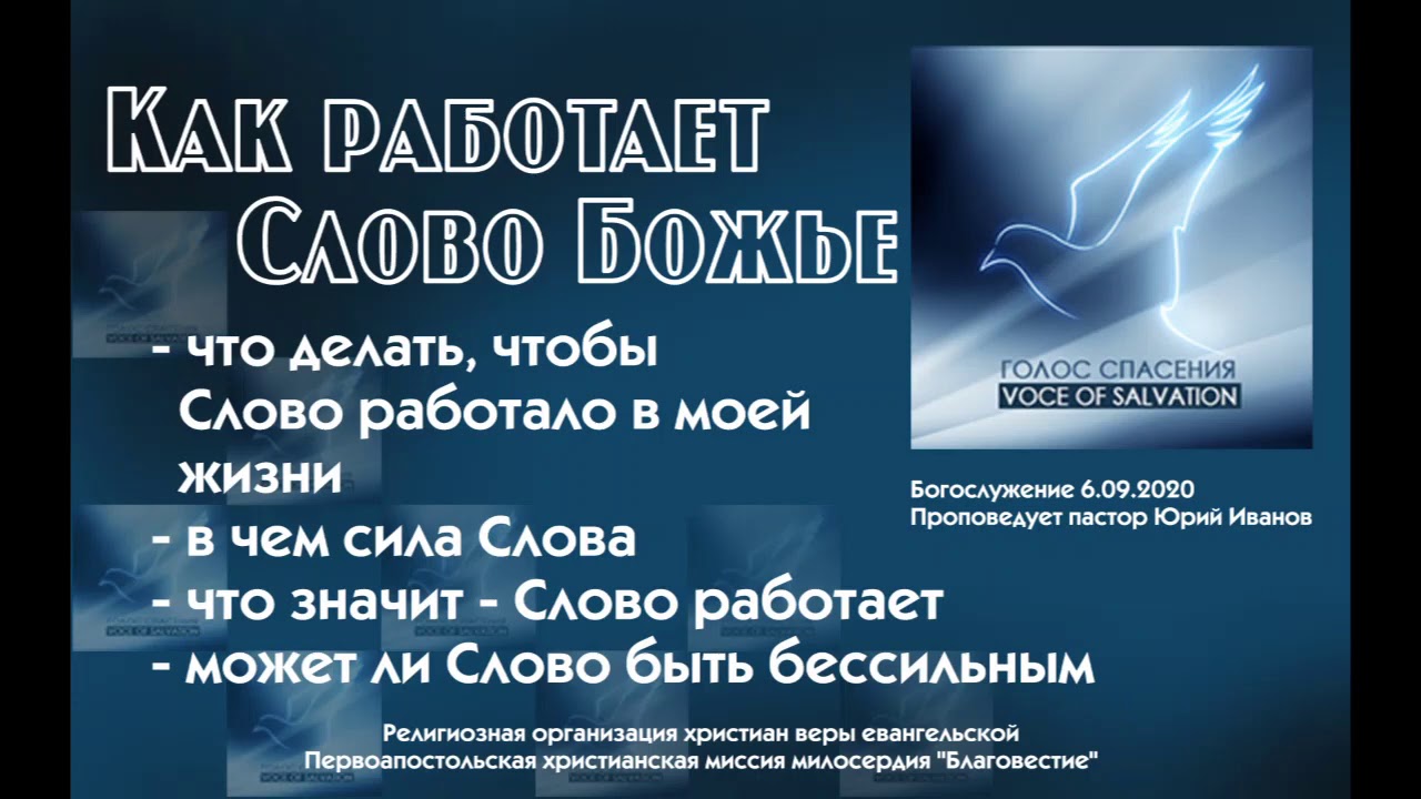 Включайся на слово. Как работает слово.