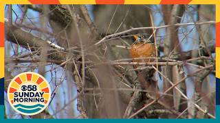 Moment in Wisconsin: Kohl Park Hiking Trail