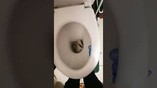 богатый егорик ты куда😳