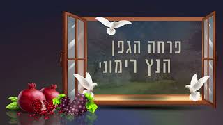 מרדכי בן ראובן - עת דודים כלה (קליפ מילים)  | Mordechai B.R. ● Et Dodim Kala