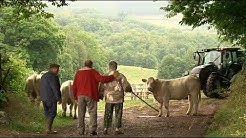 LES HOLLANDAIS DANS LE MORVAN - Vous avez regardé, ABONNEZ-VOUS svp !