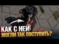 Собака с разорванной шеей от ошейника😥 Хасю ВИДЕЛИ?! Где он?