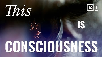 Experts from 4 different fields define consciousness