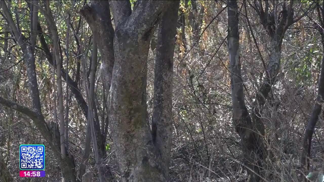 Imagen Noticias Puebla con Juan Carlos Valerio