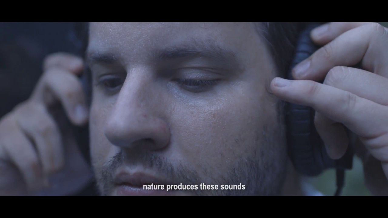 Awasi Iguazu  - The Sounds of the Atlantic Rainforest