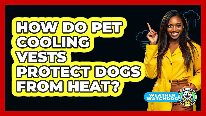 How Do Pet Cooling Vests Protect Dogs From Heat?