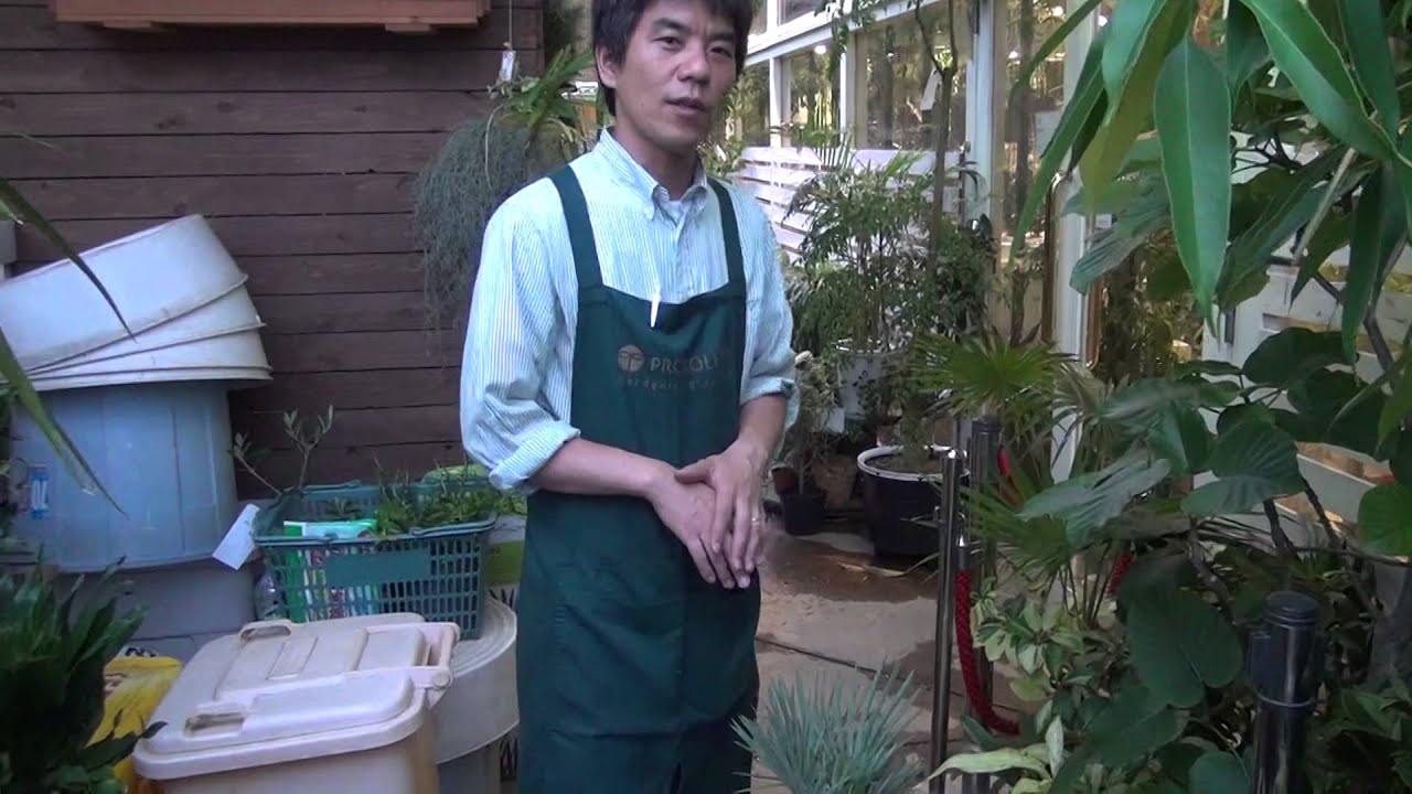 チャメロップス 引き取り価格 IKEZAWA GARDEN STORE