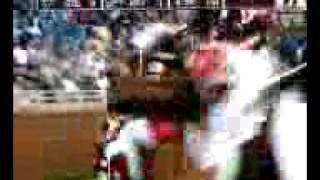 Michael Turner Touchdown Run