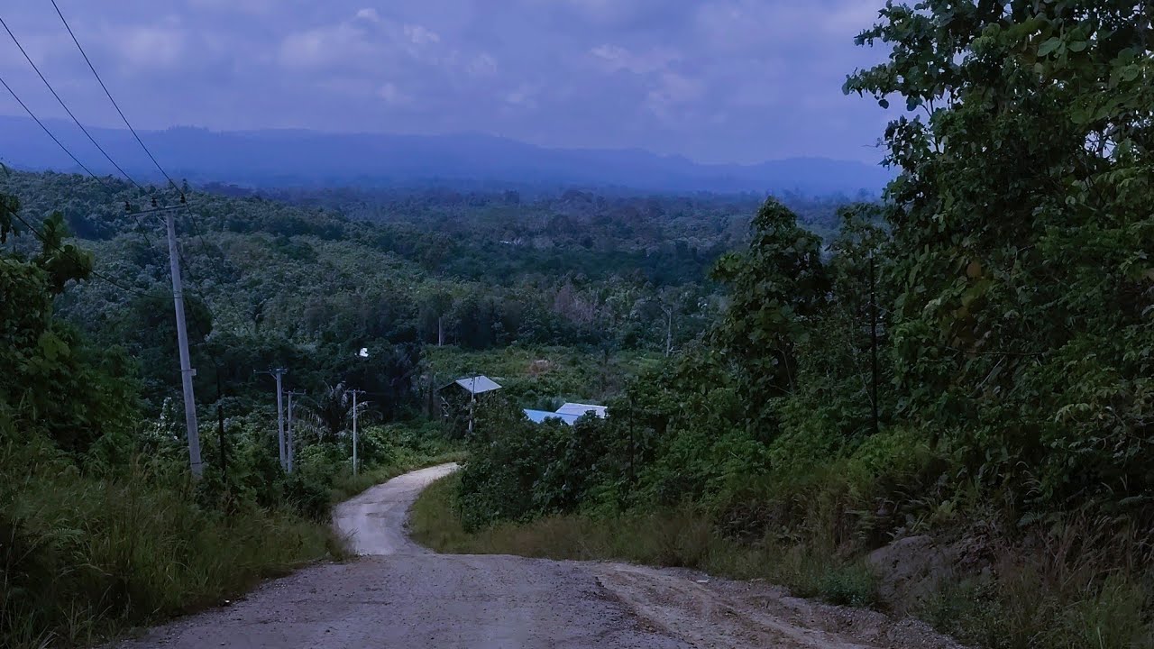 Perjalanan Muara Teweh - Kutai Barat.Part II, Explore Kampung Dayak Bentian, Kalimantan Timur.