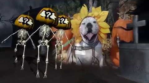 Online Video Maker   Video Creation Software   Flixpress