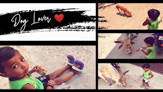 Every Dog Lovers Pet Lovers