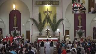 Palm Sunday of the Lord’s Passion,Mass with Fr. Angelo Battisa, MSC (03.29.2026)