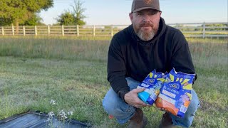 "My Journey to Creating a Stunning Texas Wildflower Meadow: Gardening Adventures and Tips 🌼"