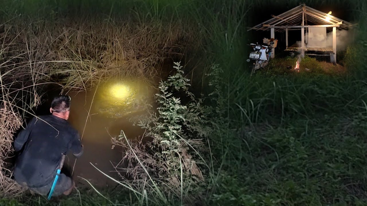 เหลือเชื่อปักเบ็ดค้างคืนด้วยเหยื่อชนิดนี้ตะข้องเกือบไม่พอใส่