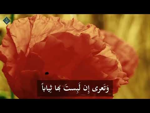 أروع ما سمعت في النصح تائية أبو إسحاق الإلبيري