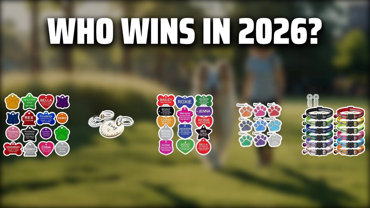The Top 5 Best Pet Tags in 2026 - Must Watch Before Buying!