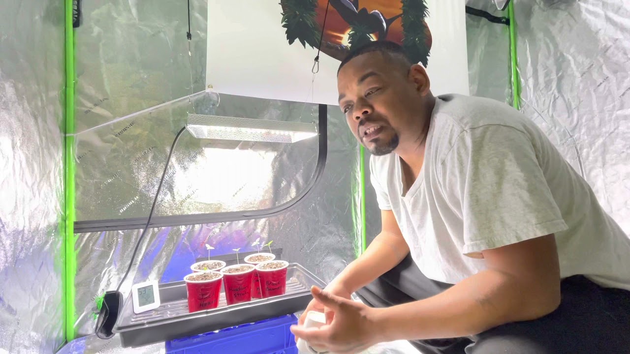 Skunky Farm’s Growth Journey Pt.3