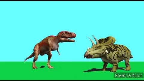 my prediction DBWC s4 round 1 - final