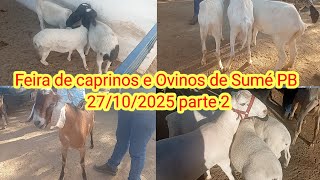Feira De Caprinos E Ovinos De Sumé Pb 27102025 Parte 2
