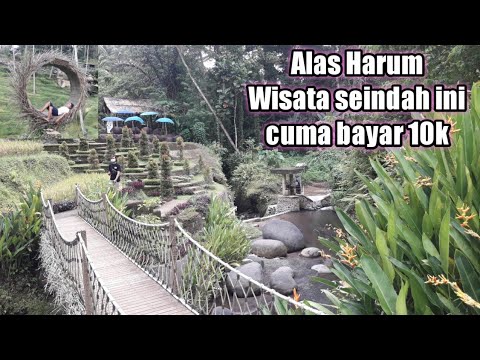 Alas Harum,Wisata Seindah ini Tiket masuk cuma 10k