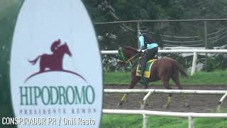 Serie Hipica Del Caribe 2025 - Representantes De Puerto Rico