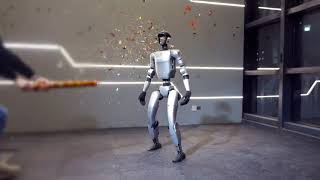 World's First: China's Unitree Robot Nails a Side Flip!