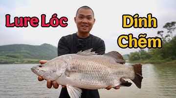 Cách Móc Mồi Nhái Thật - Buổi Câu Lure Bất Ổn, Mukbang Lòng Cá Chẽm