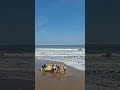 A Quick Peek